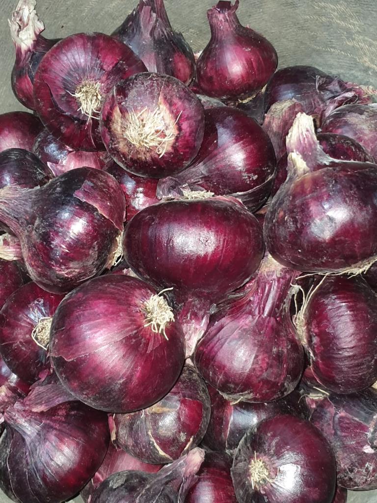 Product image - We offer you  fresh onion With following specifications:
Sizes: all sizes according to customer request .
Packing :10 kg, 25 kg Mesh Bags or according to customer request .
Quality :First Class Onions For more information for our product please contact me
Best Regards
Merna Hesham
Tel: 0020402544299     Cell(whats-app) 00201093042965
Email:Alshamsexporting@yahoo.com
          